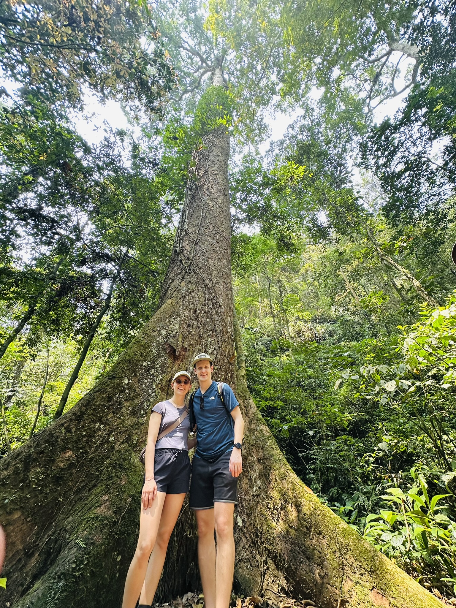 Close up of a Sun Bear being rehabilitated at the center